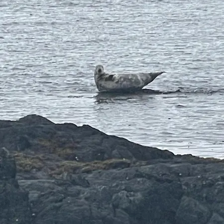 Lighthouse Farm Prázdninový dům *